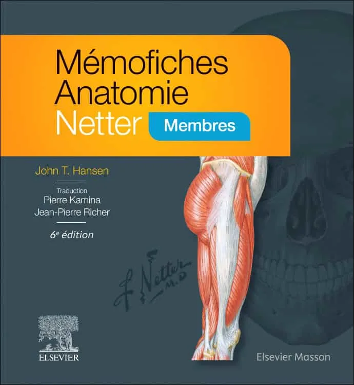 Mémofiches Anatomie Netter : Membres