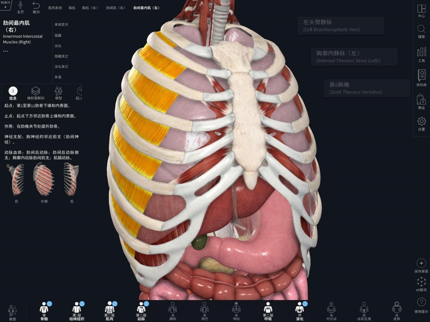 爱思唯尔旗下3D4Medical发布中文版Complete Anatomy-SEO
