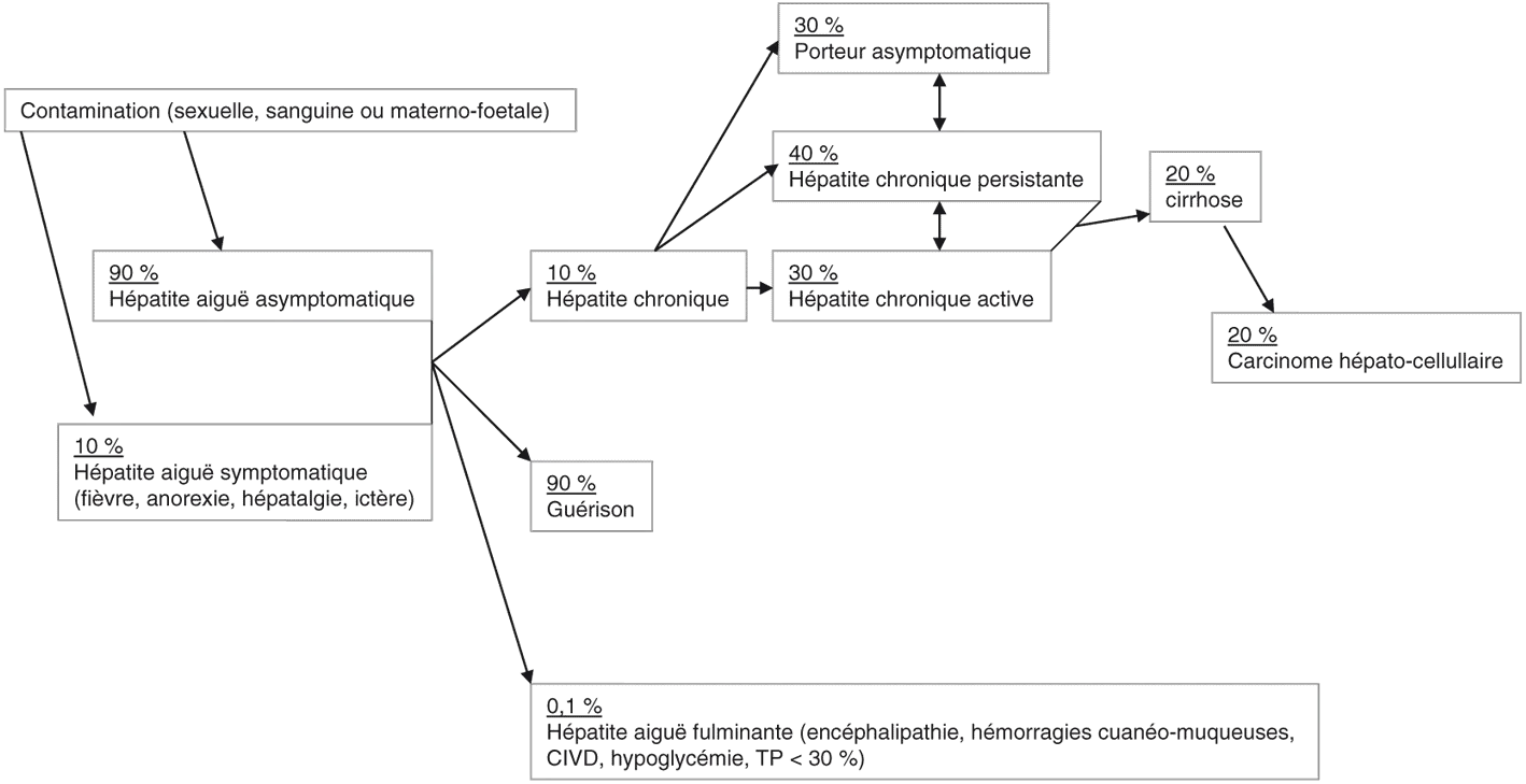 Répartition des tableaux cliniques des hépatites.
