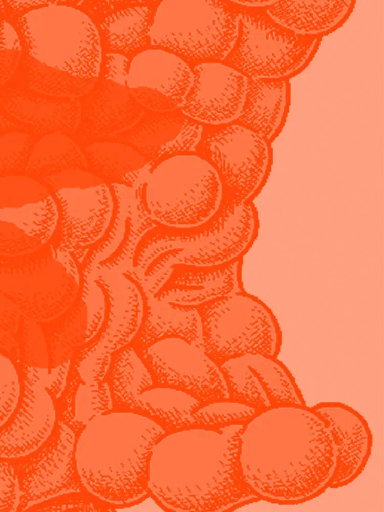 Reaxys DMTA cycle header image