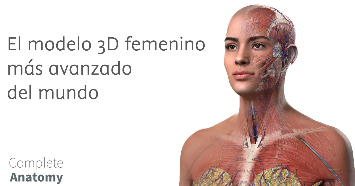 El modelo 3D femenino mas avanzado del mundo
