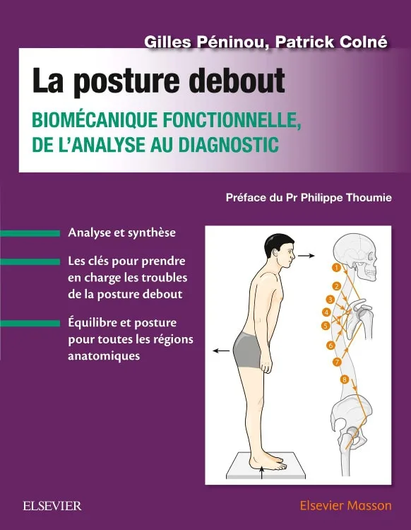 La posture debout