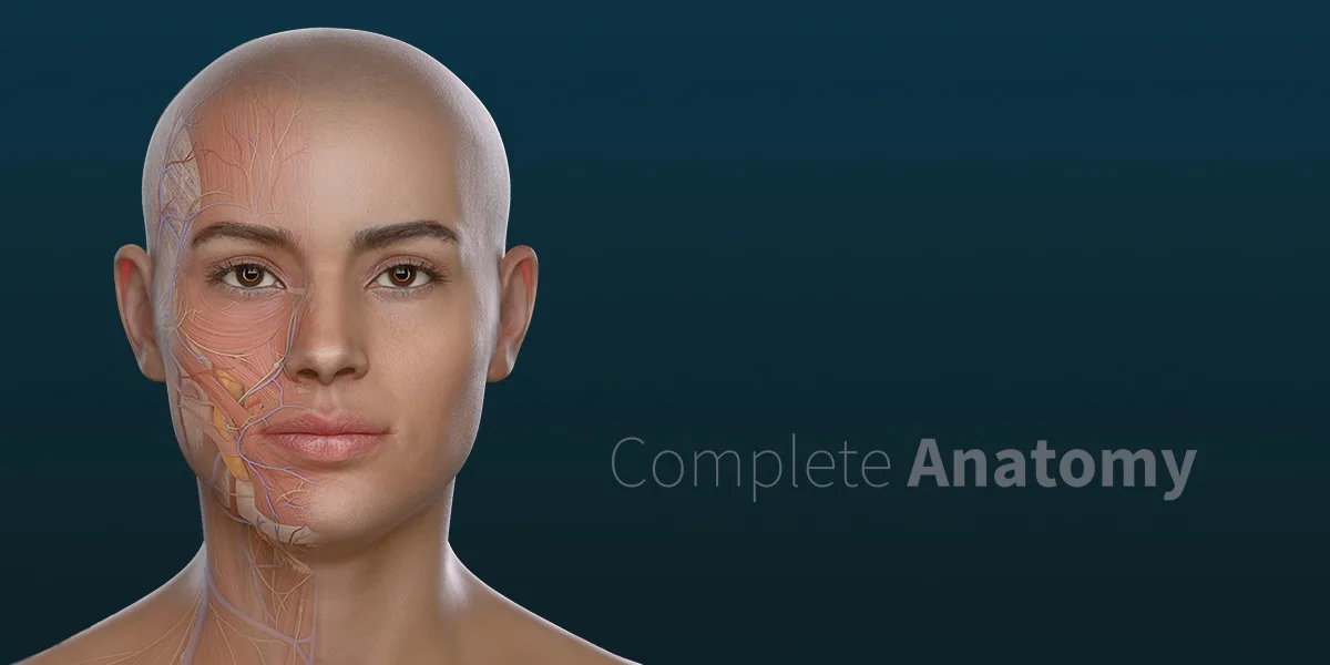 La plateforme 3D Complete Anatomie disponible en Français
