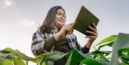 Upward shot of Female farmer in fields, using tablet