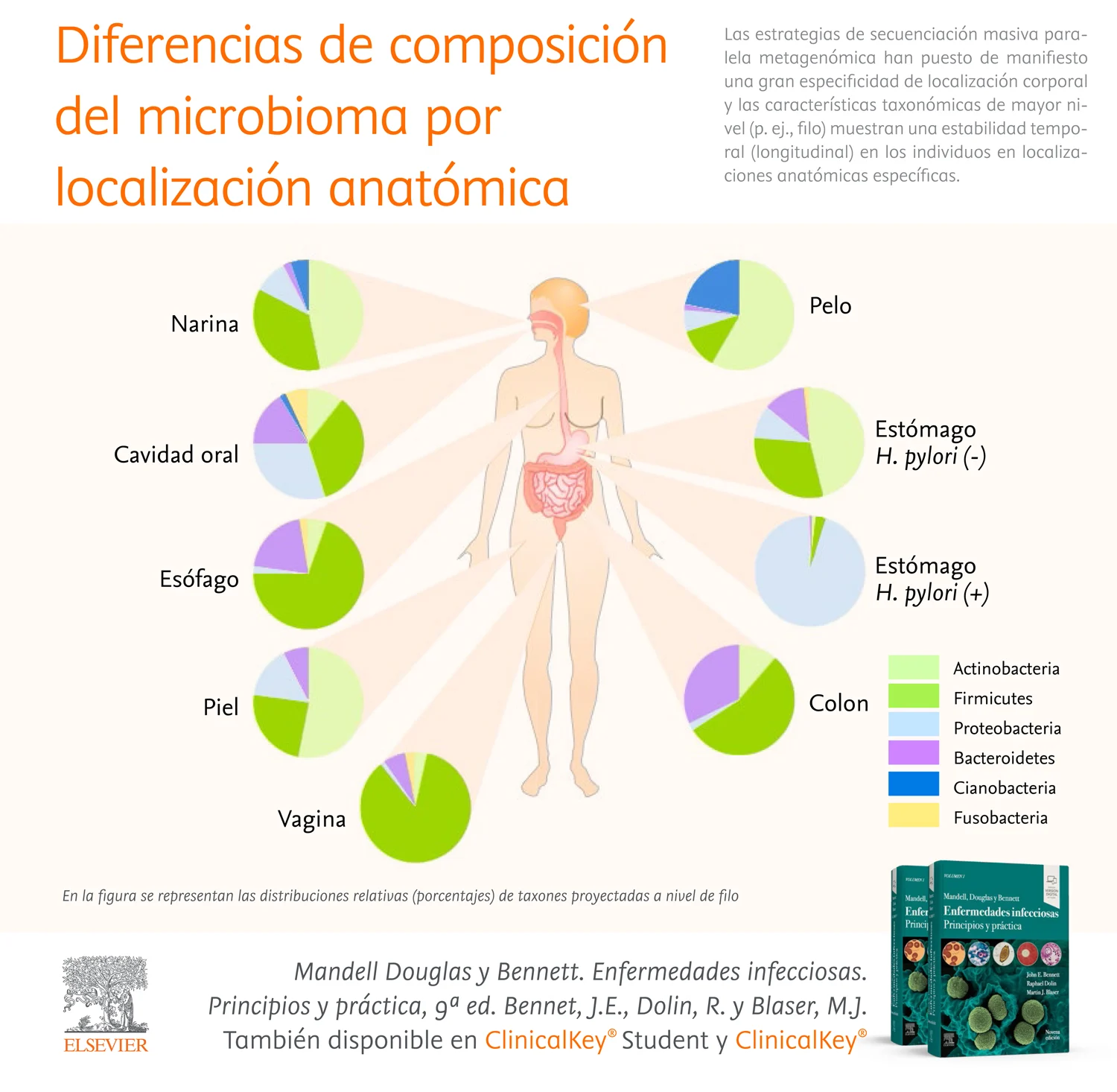 Diferencias de composición del microbioma por localización anatómica