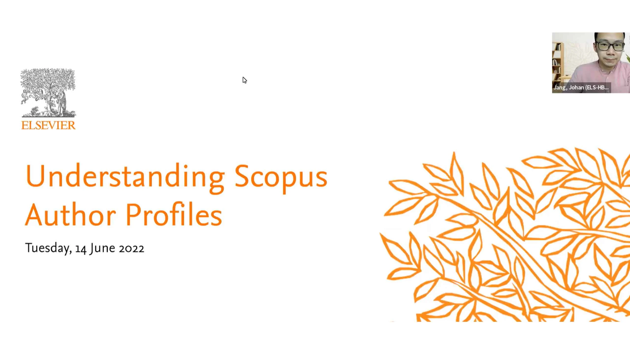 Scopus: understanding author profiles