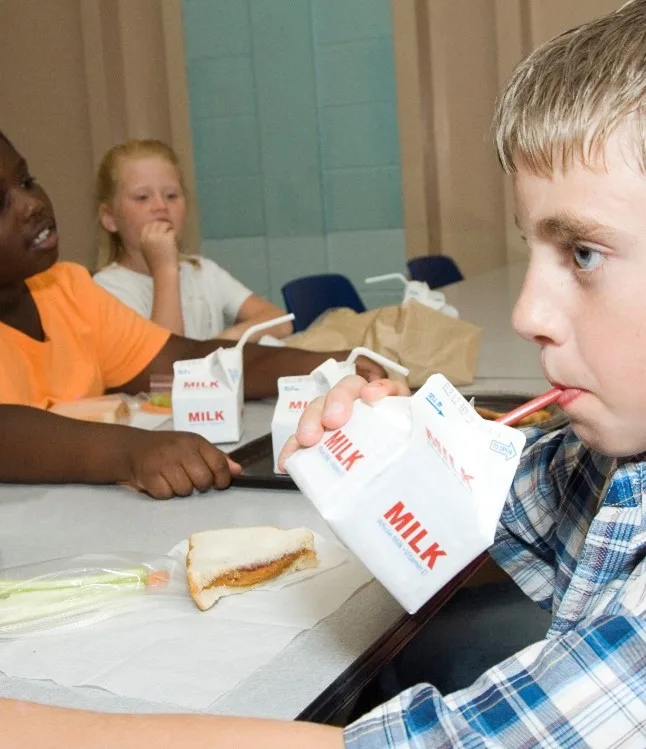 School children drinking milk with lunch