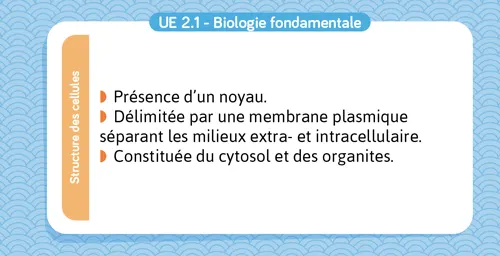 UE 2.1 - Biologie fondamentale