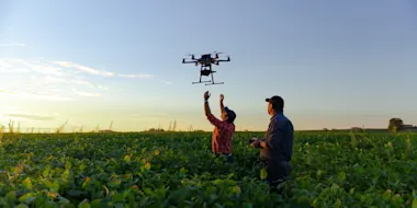 Two researchers launch a drone in a cornfield