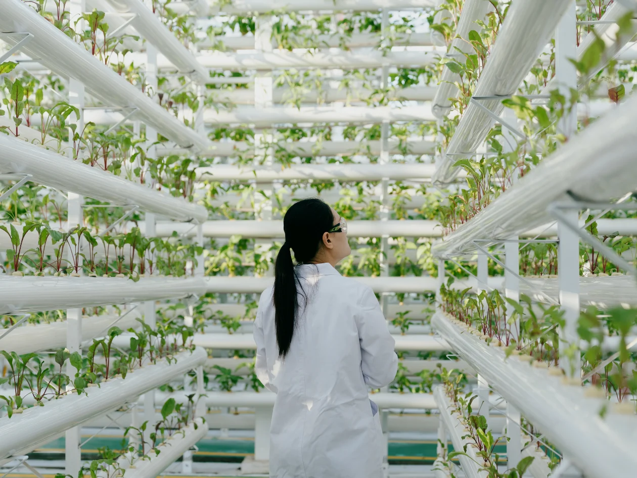 Woman in a green growing lab