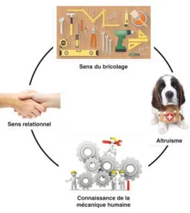 Figure 1-1 . Les 4 aptitudes requises pour un kinésithérapeute.