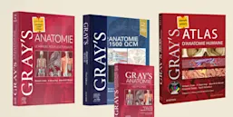 GRAY'S ANATOMIE