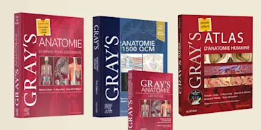 GRAY'S ANATOMIE