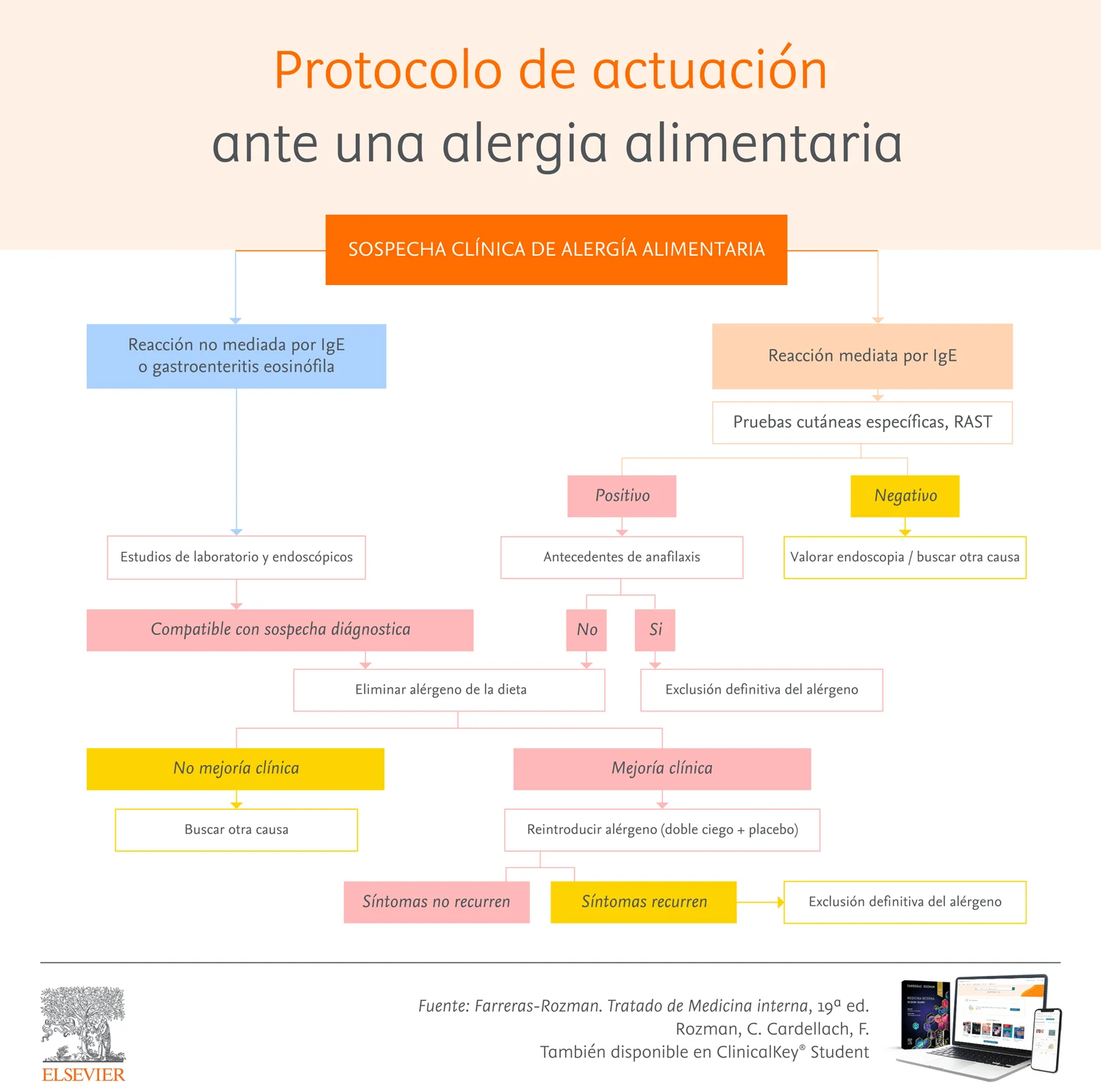 Infografia Protocolo de actuacion alergia alimentaria