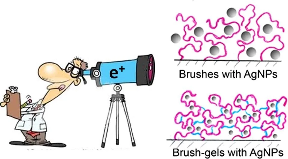 Editor in a (60-second) spotlight – Yanlei Yu | Elsevier