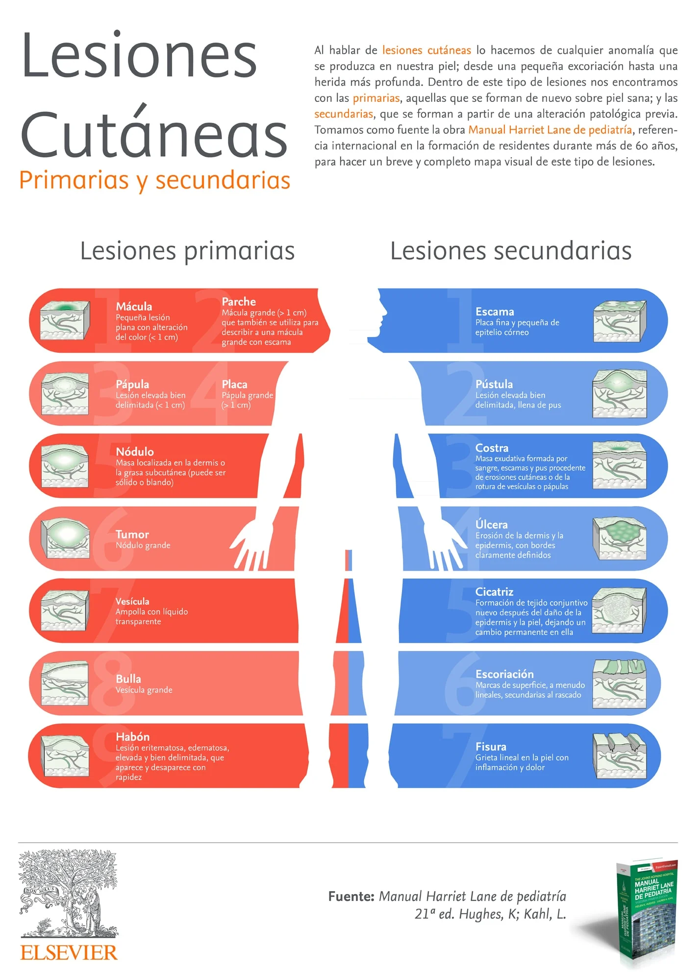Lesiones Cutaneas infografia