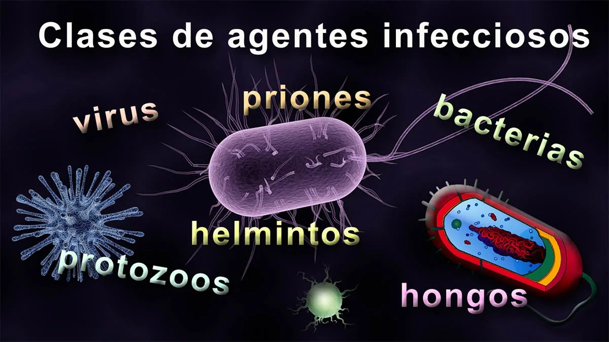 Clases agentes infecciosos principal