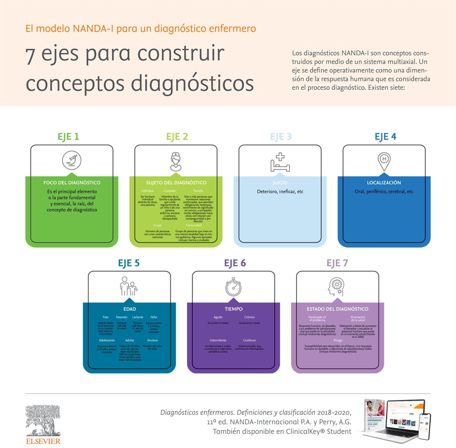 Infografia ejes conceptos diagnosticos