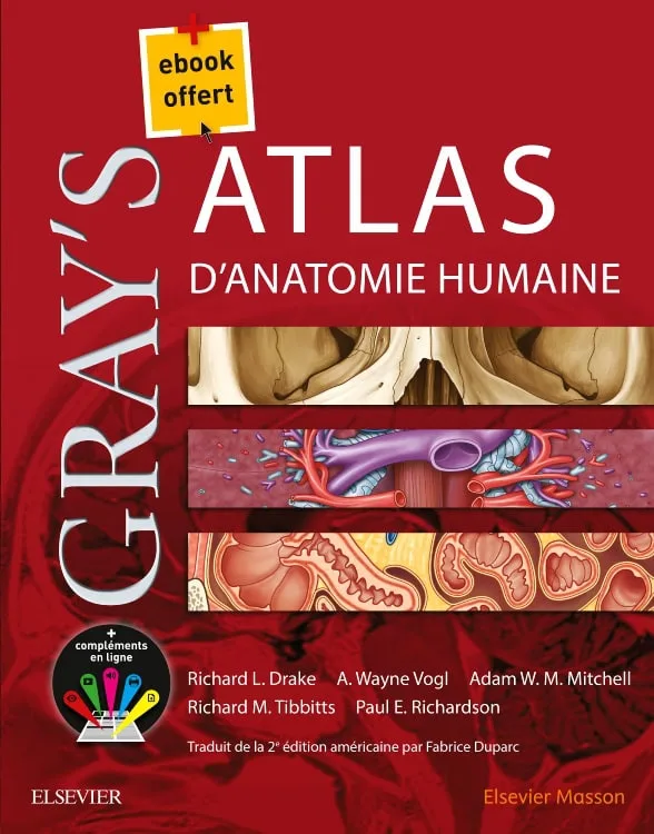 Gray's atlas d'anatomie humaine