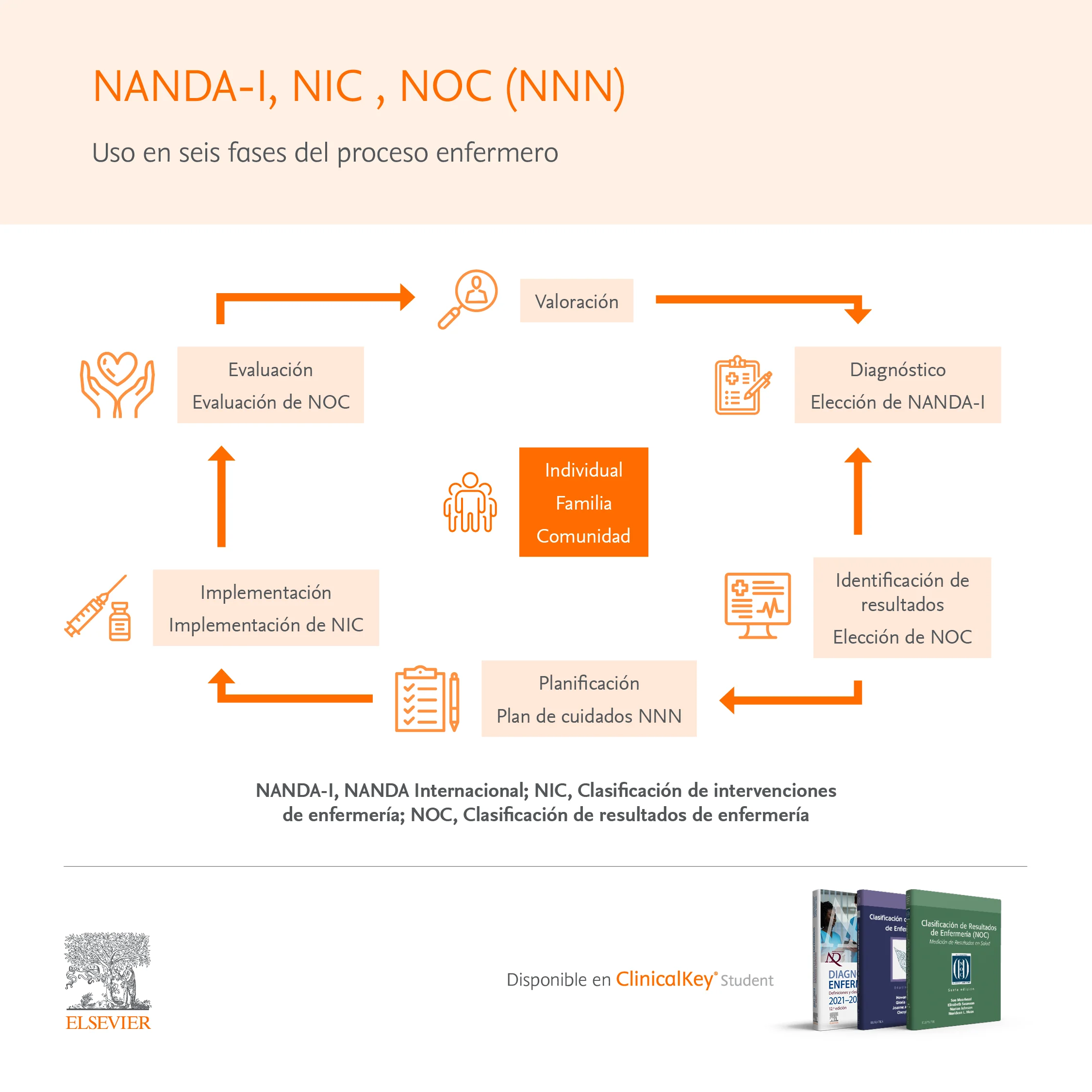 NANDA-I, NIC, (NNN)