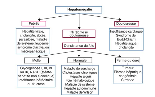Figure 7.1. Orientation diagnostique devant une hépatomégalie