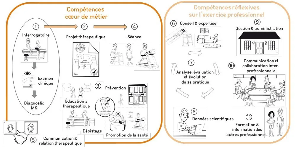 Figure 18.2. Les 11 compétences des masseurs-kinésithérapeutes