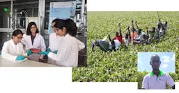 students and group of people collage