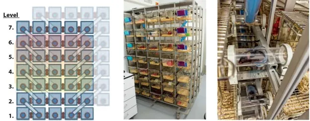 Tracking early signs of Alzheimer’s pathology in a mouse model | Elsevier