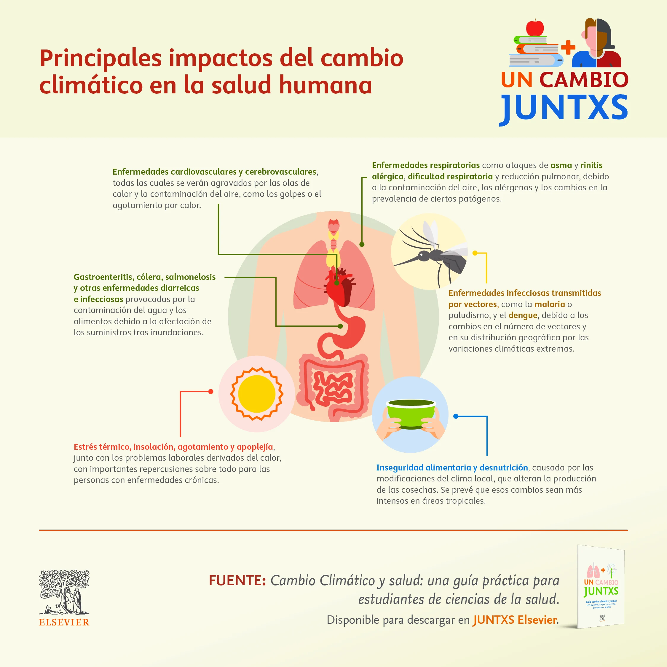 Infografia SLM JUNTXS Impactos CC Salud