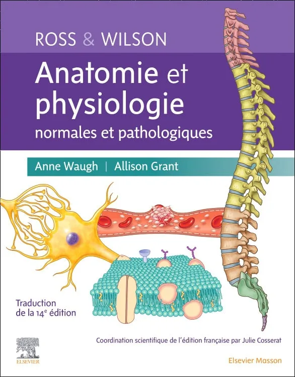 Anatomie et physiologie normales et pathologiques