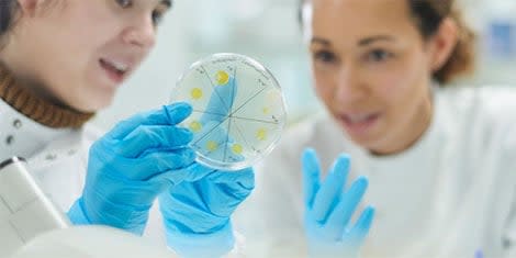 Path Pimer Step forward | PATHPrimer - Dr. Antonio Hugo Campos, Rede D’or Hospital ...