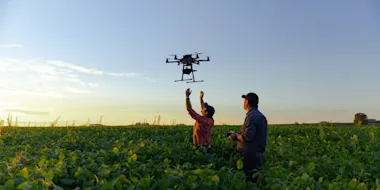 Drone no copyright in a soybean field