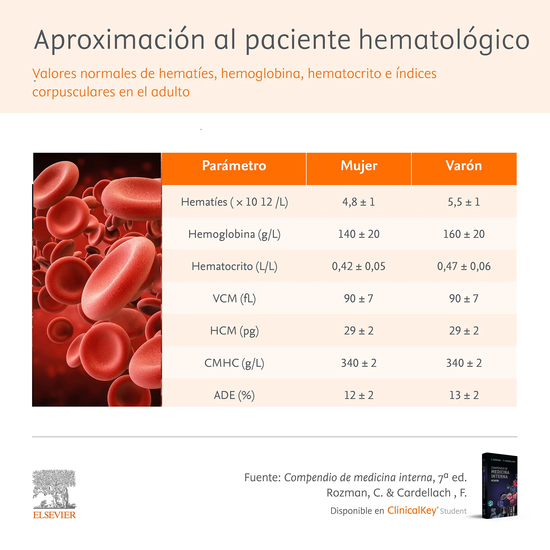 Infografia SLM Aproximacion Paciente hematologico Rozman