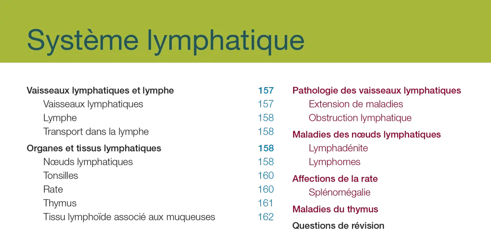 Système Lymphatique