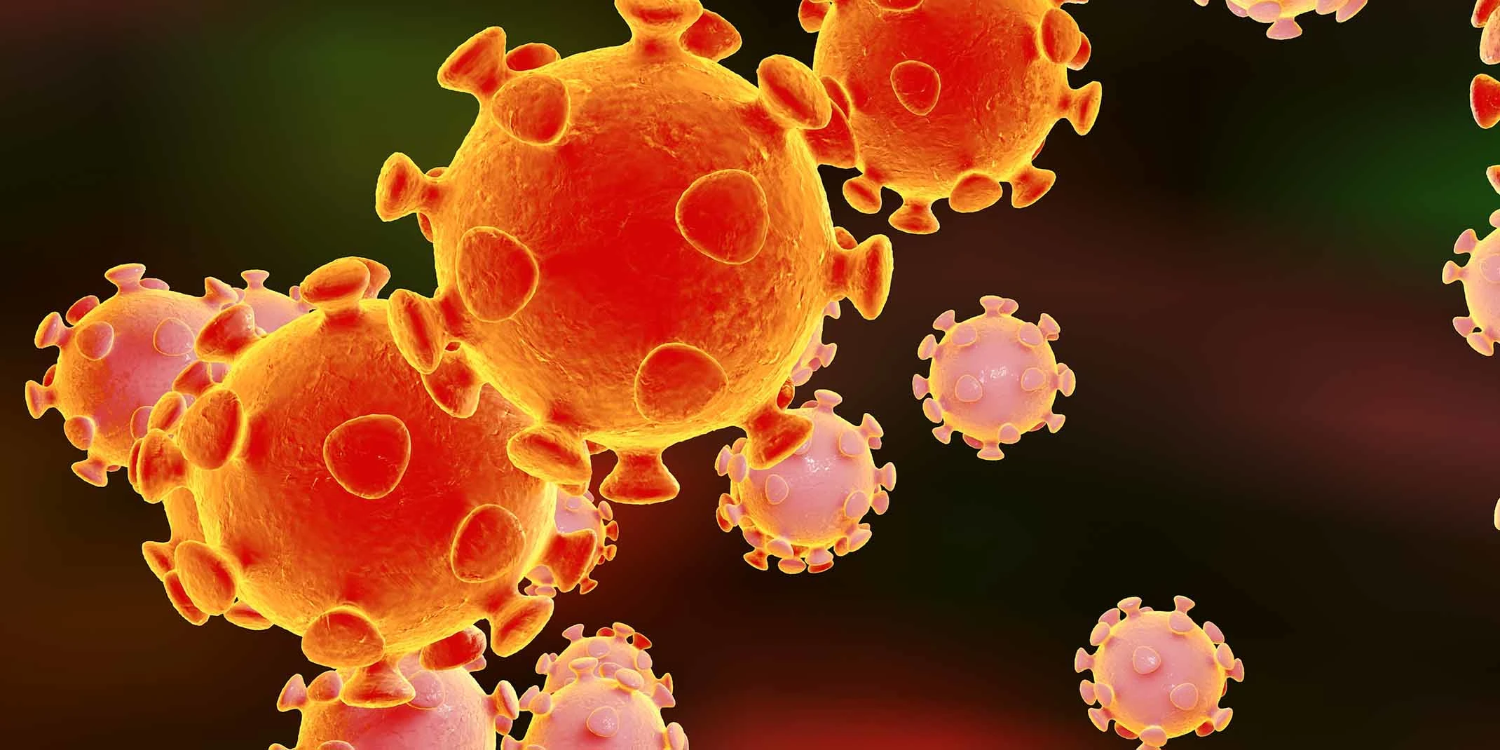 Close-up of coronavirus molecules