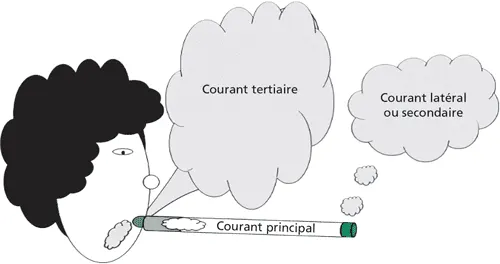 Figure 4.2.1 Les trois courants de la fumée de tabac