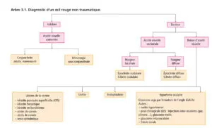 Orientation diagnostique (arbre 3.1)