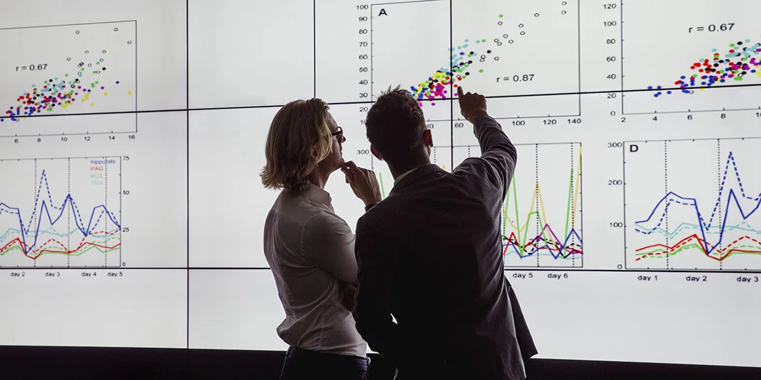 Woman and man analyzing data on a large screen (© istock.com/SolStock)
