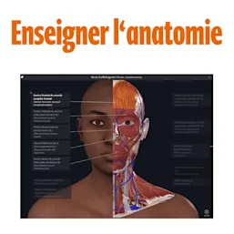 Enseigner l'anatomie