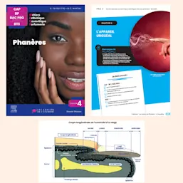 CAP BEP esthétique Phanères