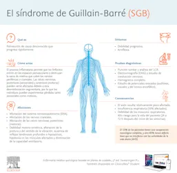 Infografia SindromeGuillain Barre