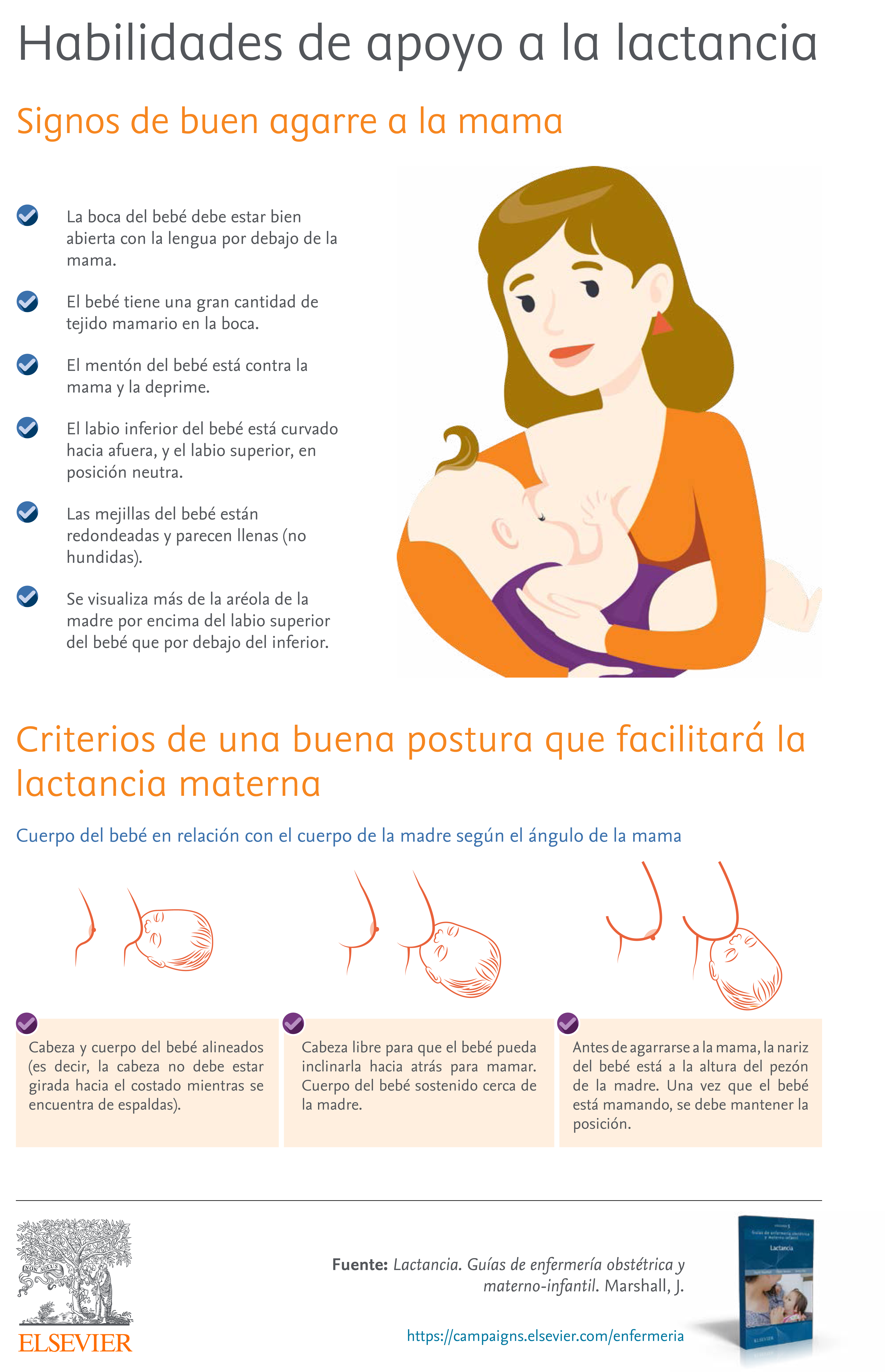 Relactar: otra oportunidad para establecer la lactancia. – Apuntes de Mamá