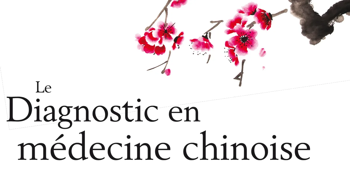 Le Diagnostic en médecine chinoise de Giovanni Maciocia