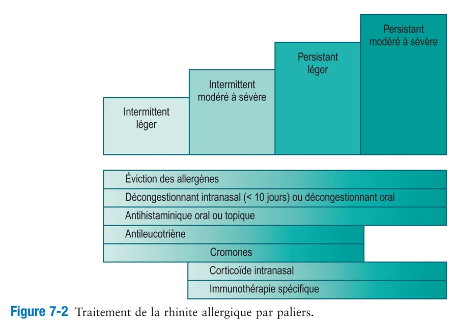 Rhinite-et-conjonctivite-allergiques 6