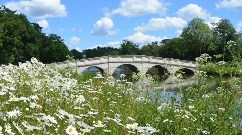 An elegantly arched stone bridge in Painshill Park, Surrey, stretches over a calm river, surrounded by wildflowers and greenery beneath a blue sky with fluffy clouds.

