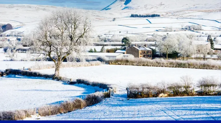 A snowy countryside landscape, with a tree, fields, and some small buildings, all covered in snow. 