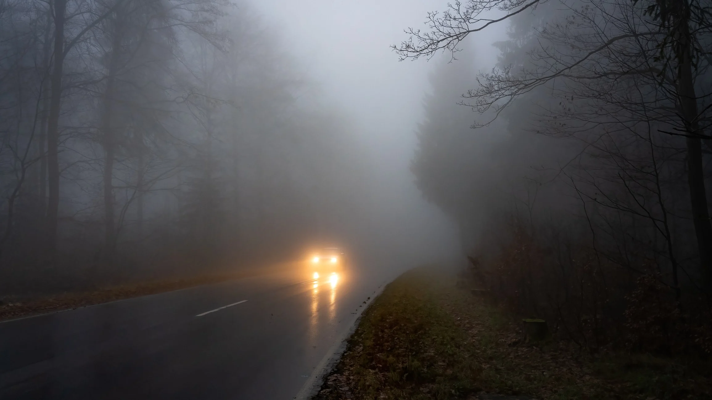 A car is driving through a treelined street on a dark and foggy night.