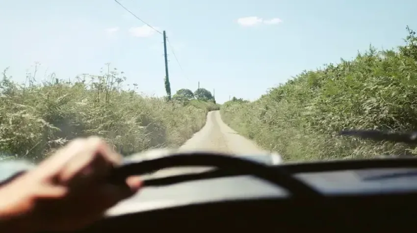 A hand on a steering wheel, with a long, straight country road infront of the car, surrounded by green bushes. 