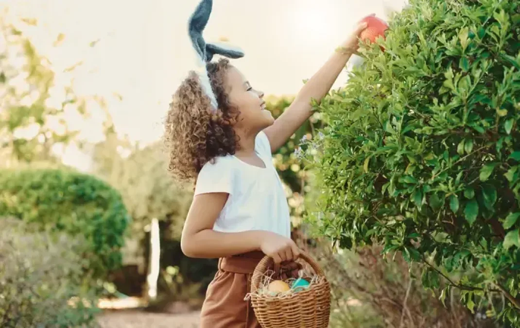 A young child wearing bunny ears and holding a basket of Easter eggs reaches into a bush to collect a brightly coloured egg.