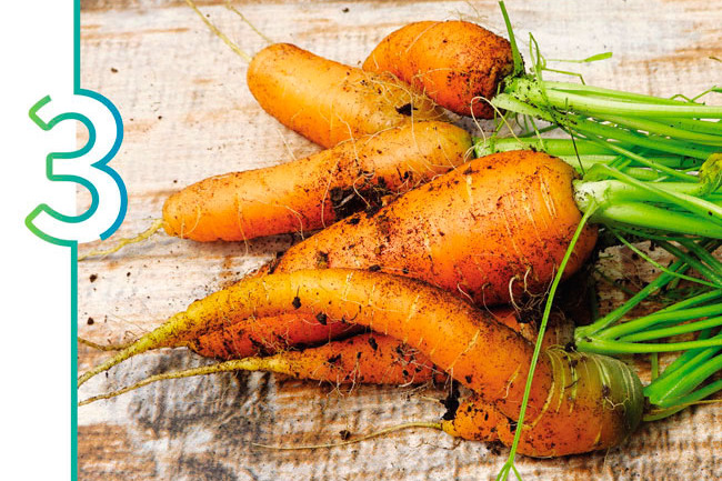Twisted carrot crop -stock.adobe.com, La Huertina De Toni: Distorted root vegetable harvests are often a sign of overcrowding.
